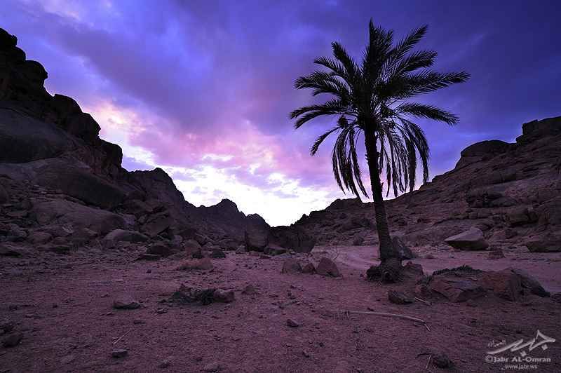 ksa - hail2.jpg